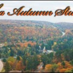 Muskoka Autumn Studio Tour