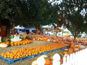 Celebration Pictures on Party At Lakeside Park Celebration Fl   Celebration Florida