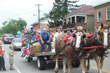 Lyndhurst Turkey Fair
