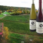 Wine Tasting and Tour at Scheuermann Vineyard and Winery!