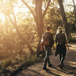 Westport’s walking country roads