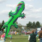 Kite Festival 2012 – Come fly with us!
