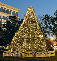 Holiday Tree Lighting Ceremony