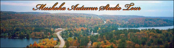 Muskoka Autumn Studio Tour