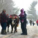 Dorset Snowball Winter Carnival