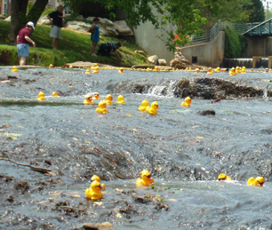 Carleton Place Canoe Club Annual Duck Derby