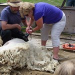 BIA Annual Lambs Down Park Festival June 16