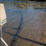 Aquatic Weed Control for your Waterfront