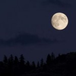 Full Moon Walk