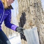 Maple weekend