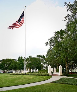What to do in veterans day