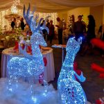 VIP Winter Wonderland