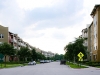 Celebration Fl Condos