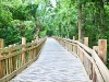Celebration Fl Walking Trails