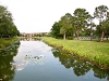 Celebration Fl