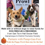 Puppy Pumpkin Prowl