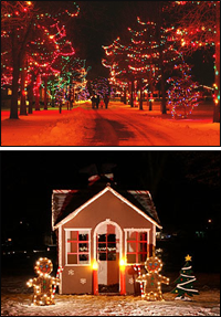 Celebrating the Season Delta