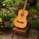 Music in the Park