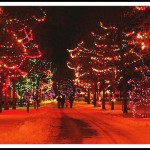 11th Annual “Celebrating the Season” 2015