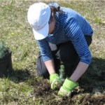 Thunder Bay’s Arbor Day Tree Planting Event
