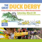 The Great Duck Derby
