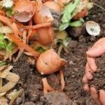 Introduction to composting